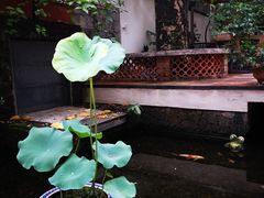 -馨园villa融合菜(东山店)