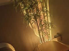 -宁采臣Sleep·采耳·SPA放松馆(湖里万达店)