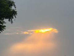 -两河城市森林公园