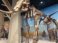 -国家自然博物馆