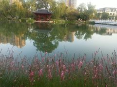 -北湖公园