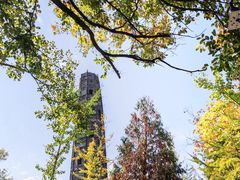 -上海佘山国家森林公园天马山园