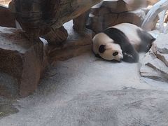 -宁波野生动物园
