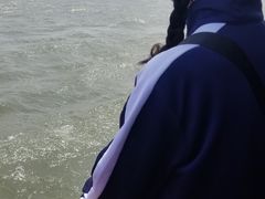 -西湖外事游船(花港观鱼码头)