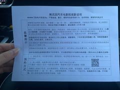 -枫花园汽车电影院(朝阳公园店)