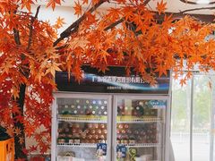 -八次方密云水库鱼粘卷子·熏鸽子·农家菜