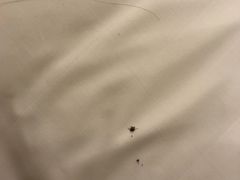 -怡莱酒店(上海大学店)