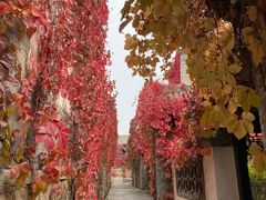 -卧龙堡客栈·中餐厅(古北水镇店)