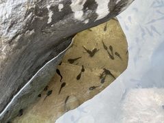 -红峡谷