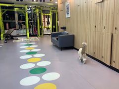-M.S拳击泰拳馆(大学路店)