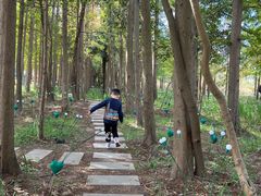 -上海长兴岛郊野公园