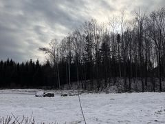 -长白山万达国际滑雪场