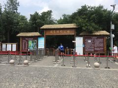 -西青郊野公园