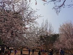 -北京西山国家森林公园