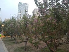 -长白岛森林公园