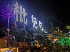 -枇杷园食为鲜火锅(南山店)