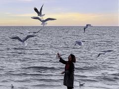 -老虎石海上公园