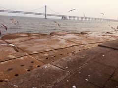 -星海湾跨海大桥