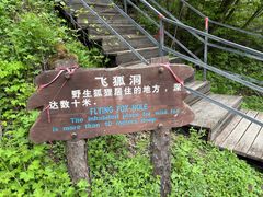 -峡谷浮石林景区