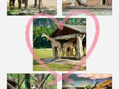 -广州长隆野生动物世界