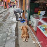 周末，溜达阆中