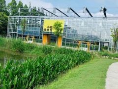 -前小桔亲子创意农场·草莓采摘·露营烧烤