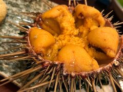 -樱の花亭日本料理店