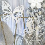 考虑中间仪式区做的大型吊顶效果