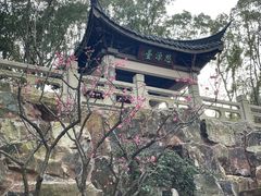 -无锡梅园公园