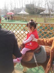 -萌宠亲子动物乐园(槐房万达店)