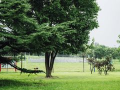 -太阳宫公园