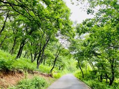 -长春市南湖公园