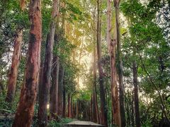 -小南山公园