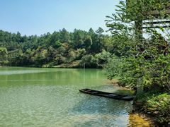 -广州白江湖森林公园