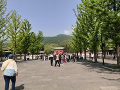 -晋祠公园