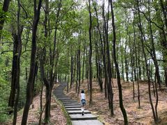 -火炉山森林公园