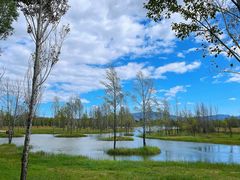 -野鸭湖国家湿地公园