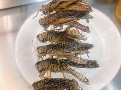 -小寒羊烧烤(凯瑞时代大厦店)