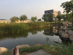 -青岛海泉湾度假区温泉
