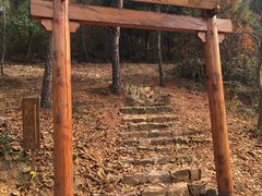 -龙寺生态园