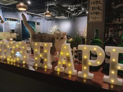 -咖法森林·咖啡  酒吧(天河店)