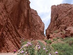 -天山神秘大峡谷