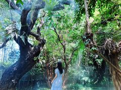 -Chom Cafe and Restaurant