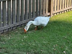 -硅谷蒙学幼儿园