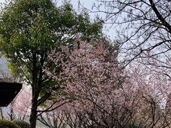 -白塘生态植物园