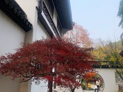 -上海醉白池公园