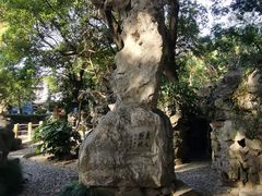 -绮园景区