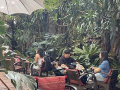 -Fern Forest Cafe