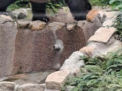 -石排湾郊野公园