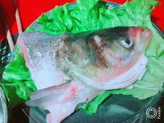 -谭鸭血老火锅(漳州路店)